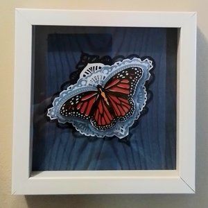Beautiful butterfly shadow box
